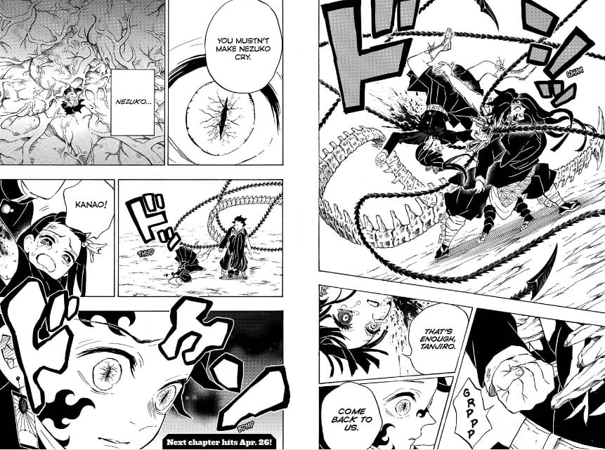 Kanao injects the medicine to make Tanjrou a human again in Demon slayer chapter 202.