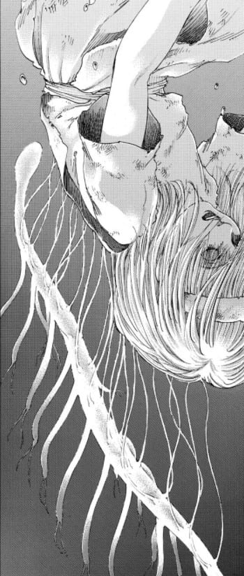 Attack on Titan manga, chapter 122.