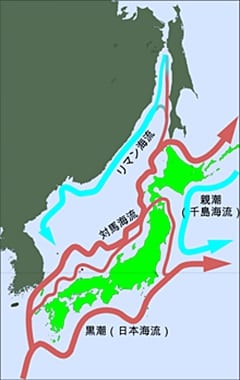 Tsushima Warm Current via Oki Islands UNESCO website