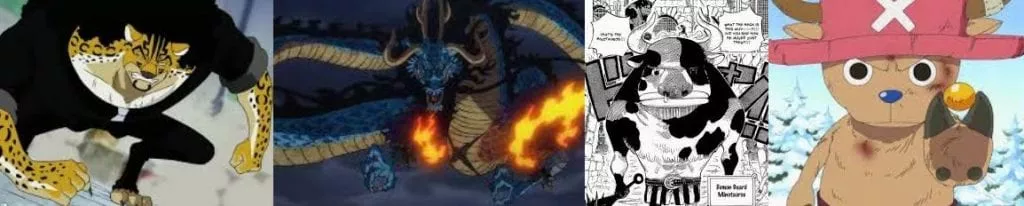 Rob Lucci's Hybrid Zoan form, Kaido's Full Zoan Dragon form . Awakened Zoan Jailer - Minotaurus and Chopper's Rumble Balls.