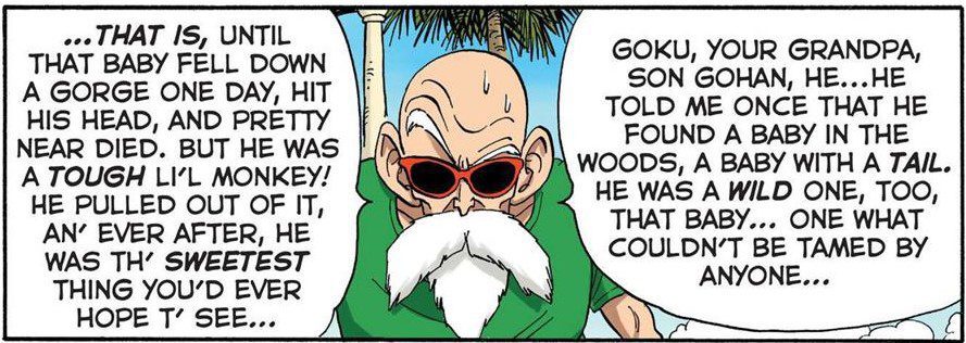 Roshi explains Goku being found by Grandpa Gohan and one day losing his memory