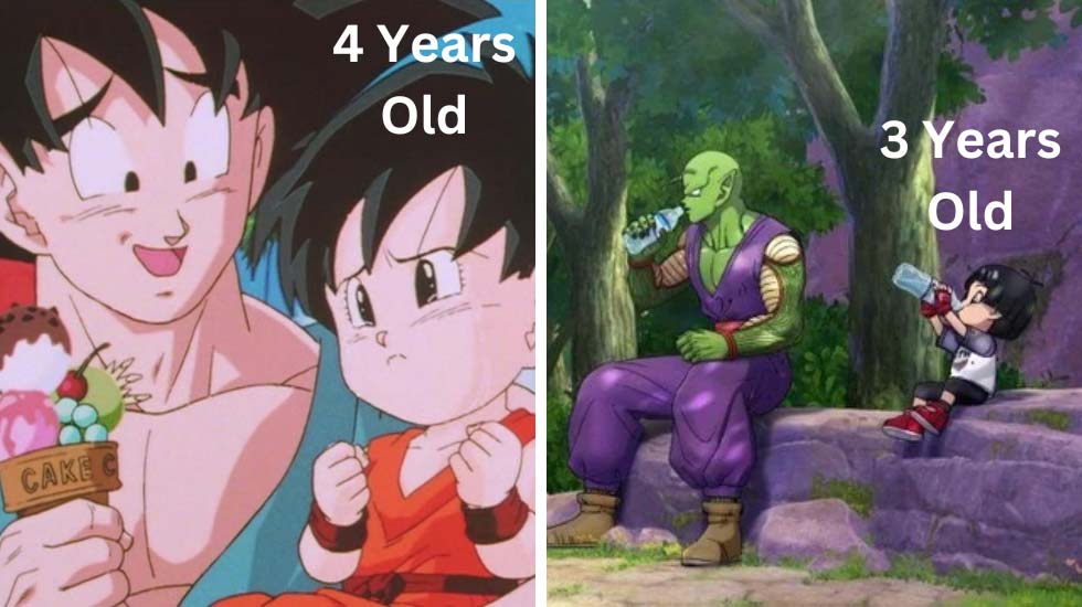 Dragon Ball Super- Super Hero And End Of Z
