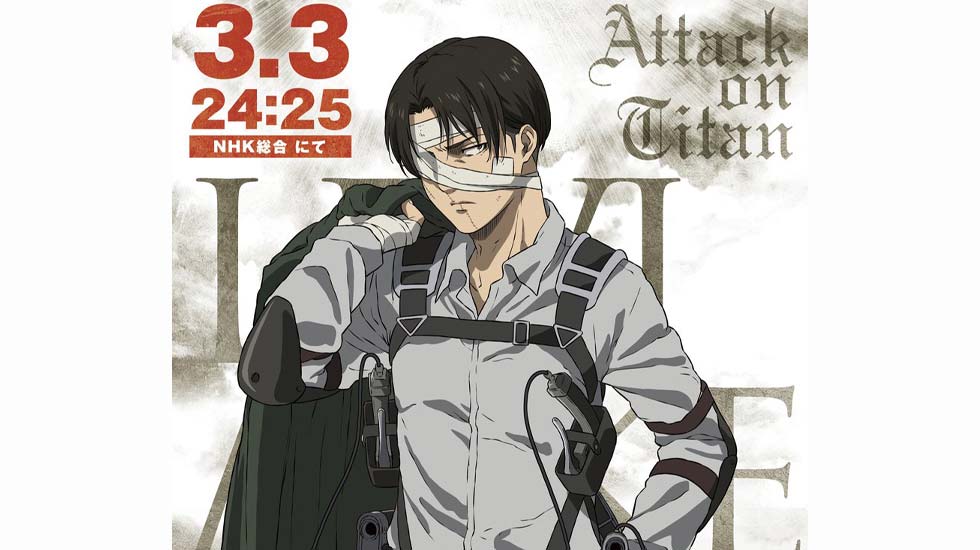 Levi Attack On Titan Anime Paint By Numbers - Numeral Paint Kit-demhanvico.com.vn