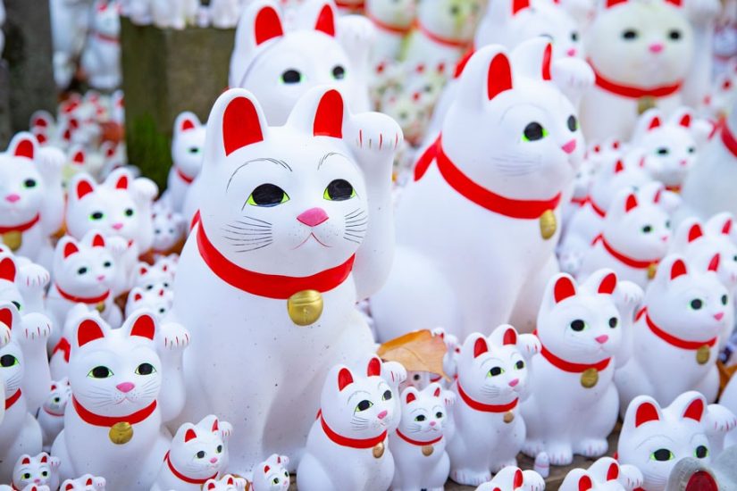 Cats are a sign of good luck. Maneki the cat is placed outside stores and offices in Japan to bring in good luck