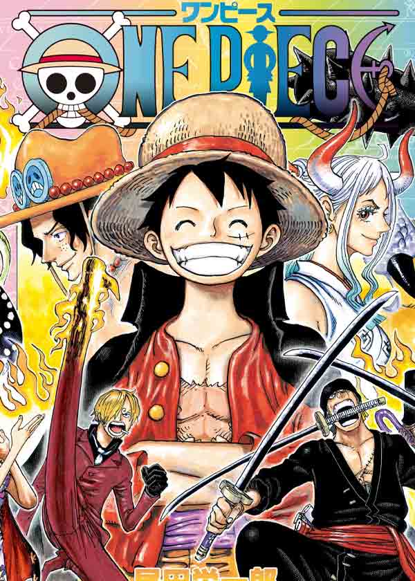 One Piece Cover