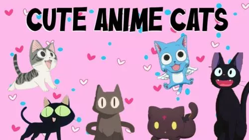 Cute Anime Cats
