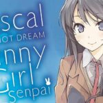 Rascal Does Not Dream Light Novel To Conclude With…