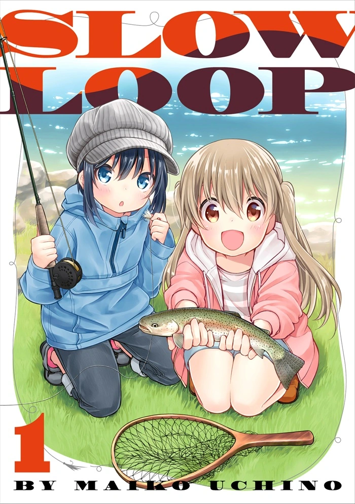 Cover Slow Loop